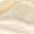 EGGSHELL