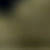 WHITE/GREEN