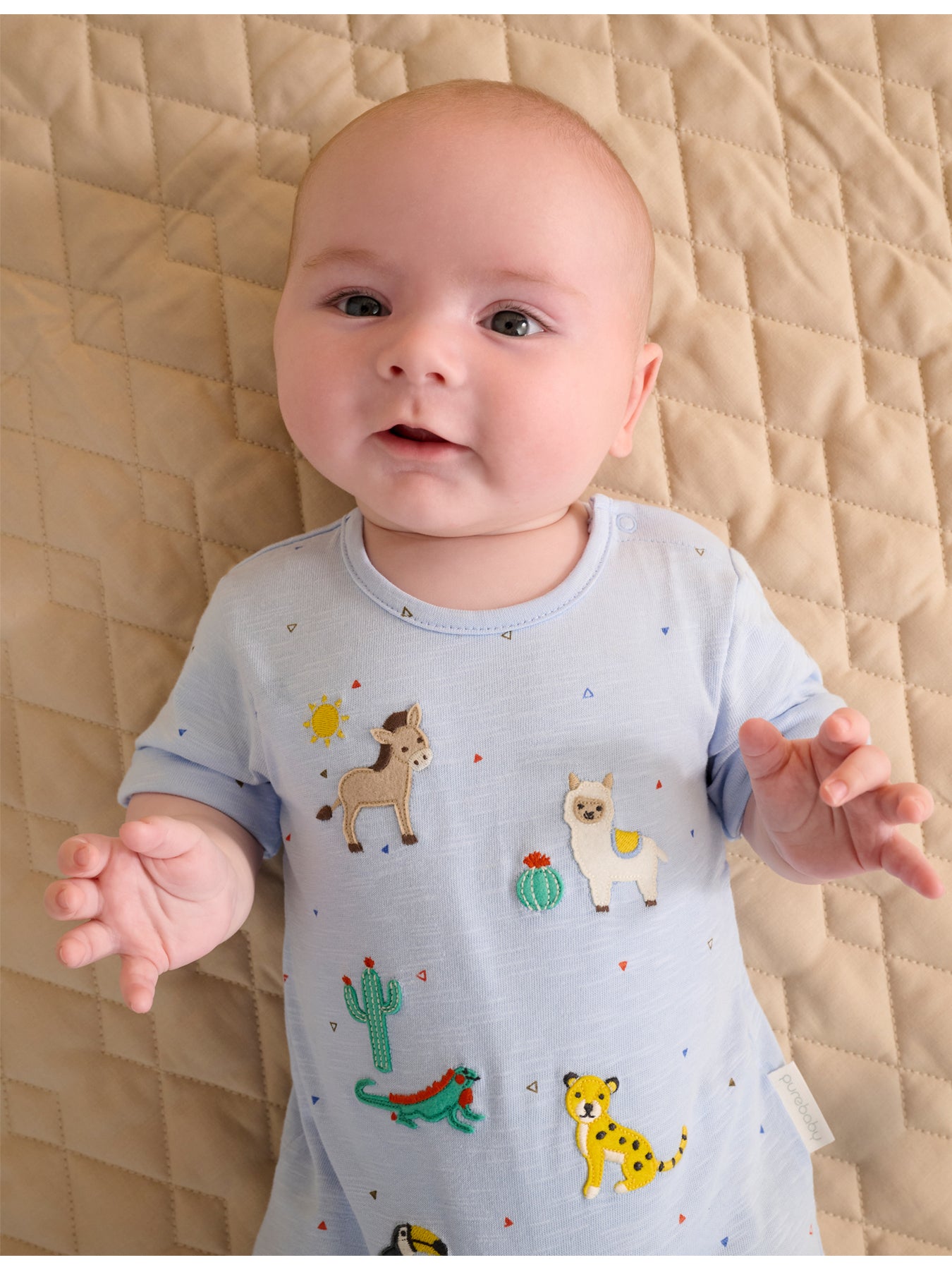 Baby Animal Fiesta Short Growsuit