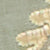 Sage Gold