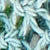 Sky/New Green/Natural