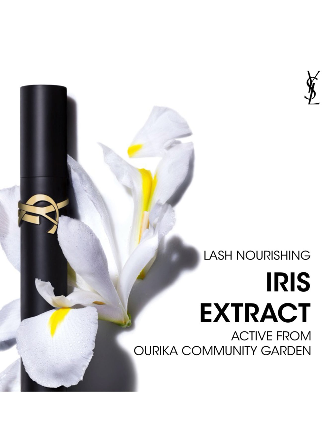 Lash Clash and Loveshine Makeup Set