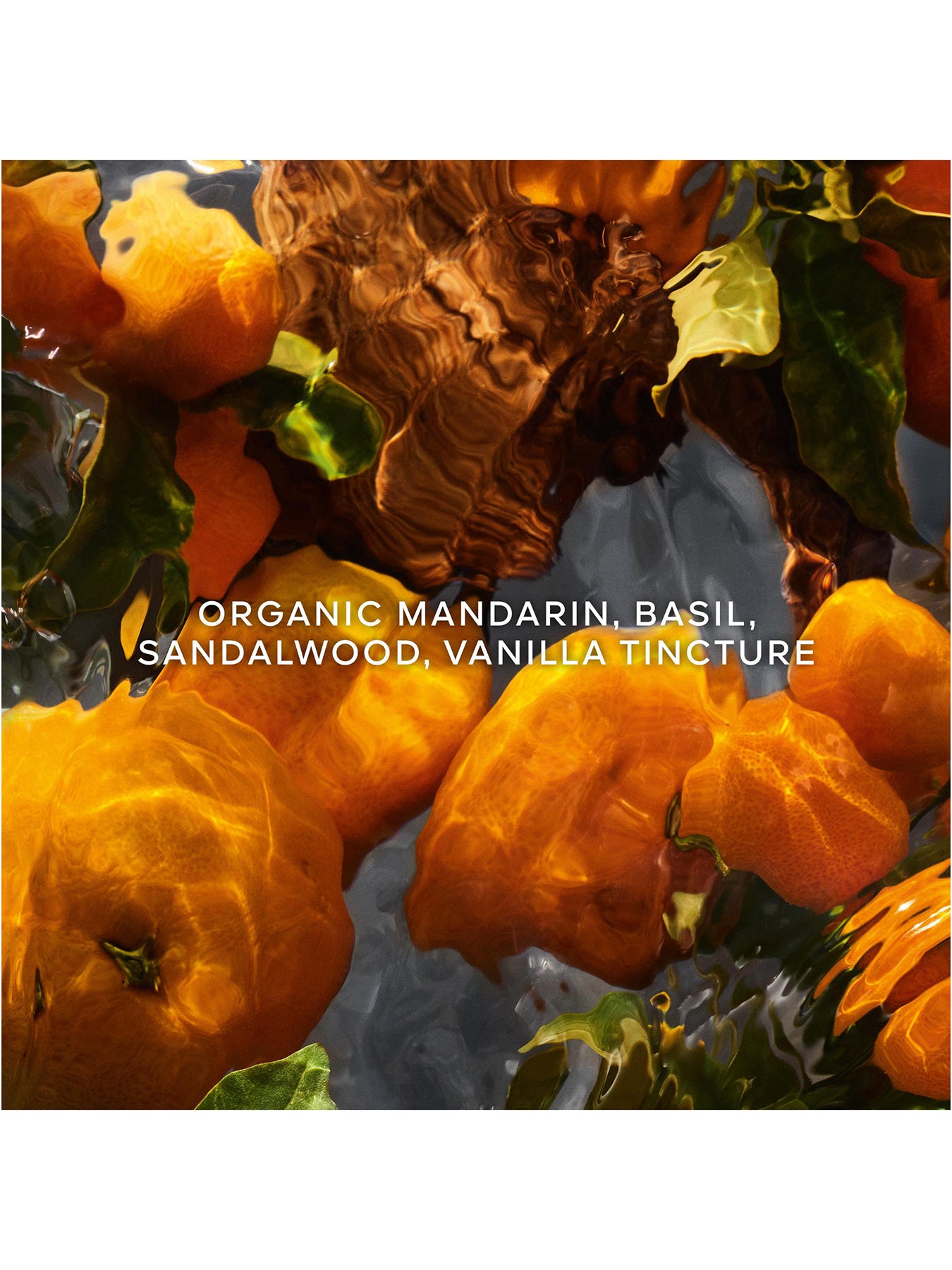 Aqua Allegoria Mandarine Basilic Eau de Parfum Set