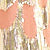 Peach Metallic