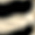 Birch W. BLACK