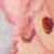 Perfume Bottles Blush