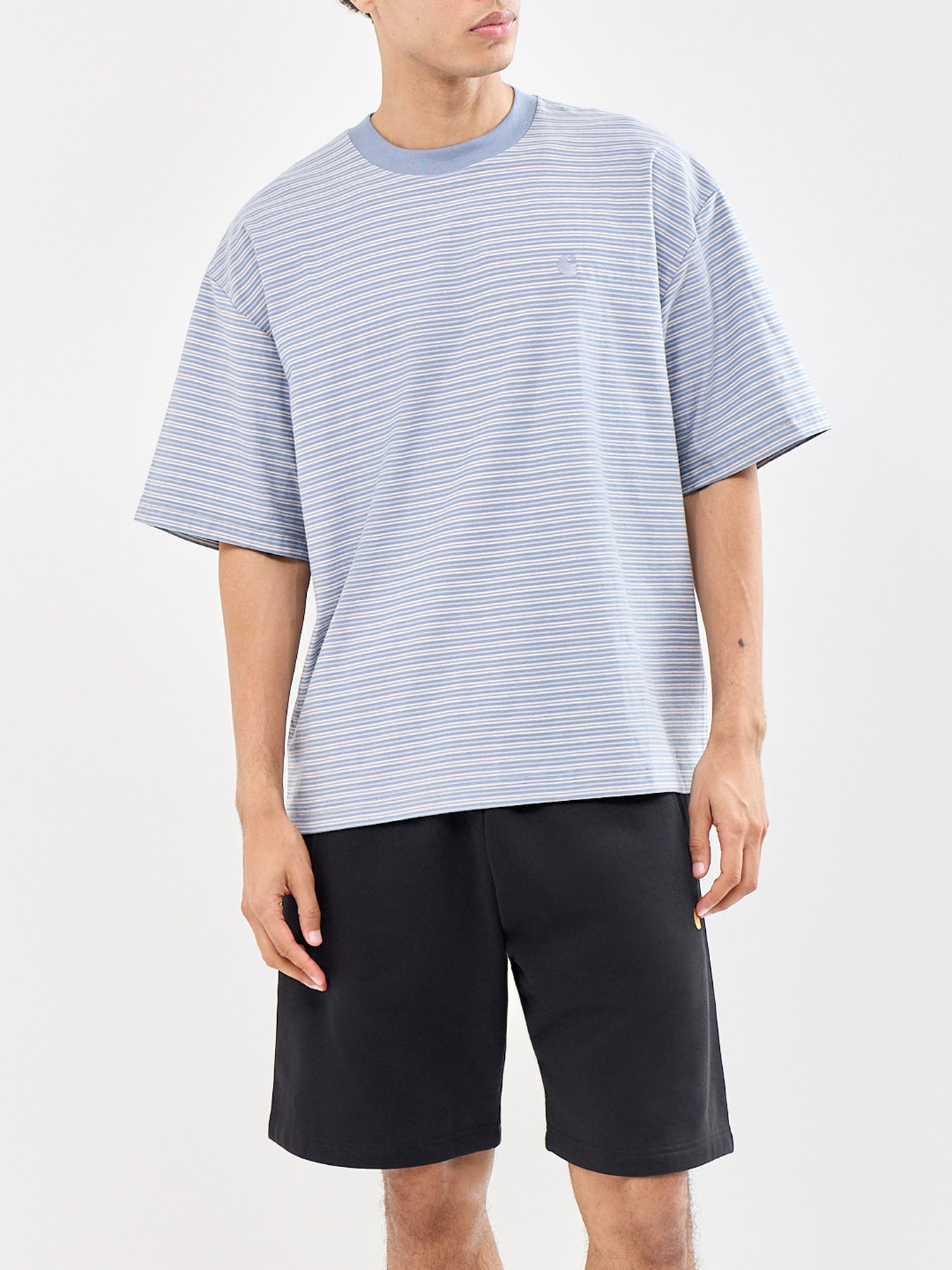 Dupree Stripe Cotton T-Shirt Blue