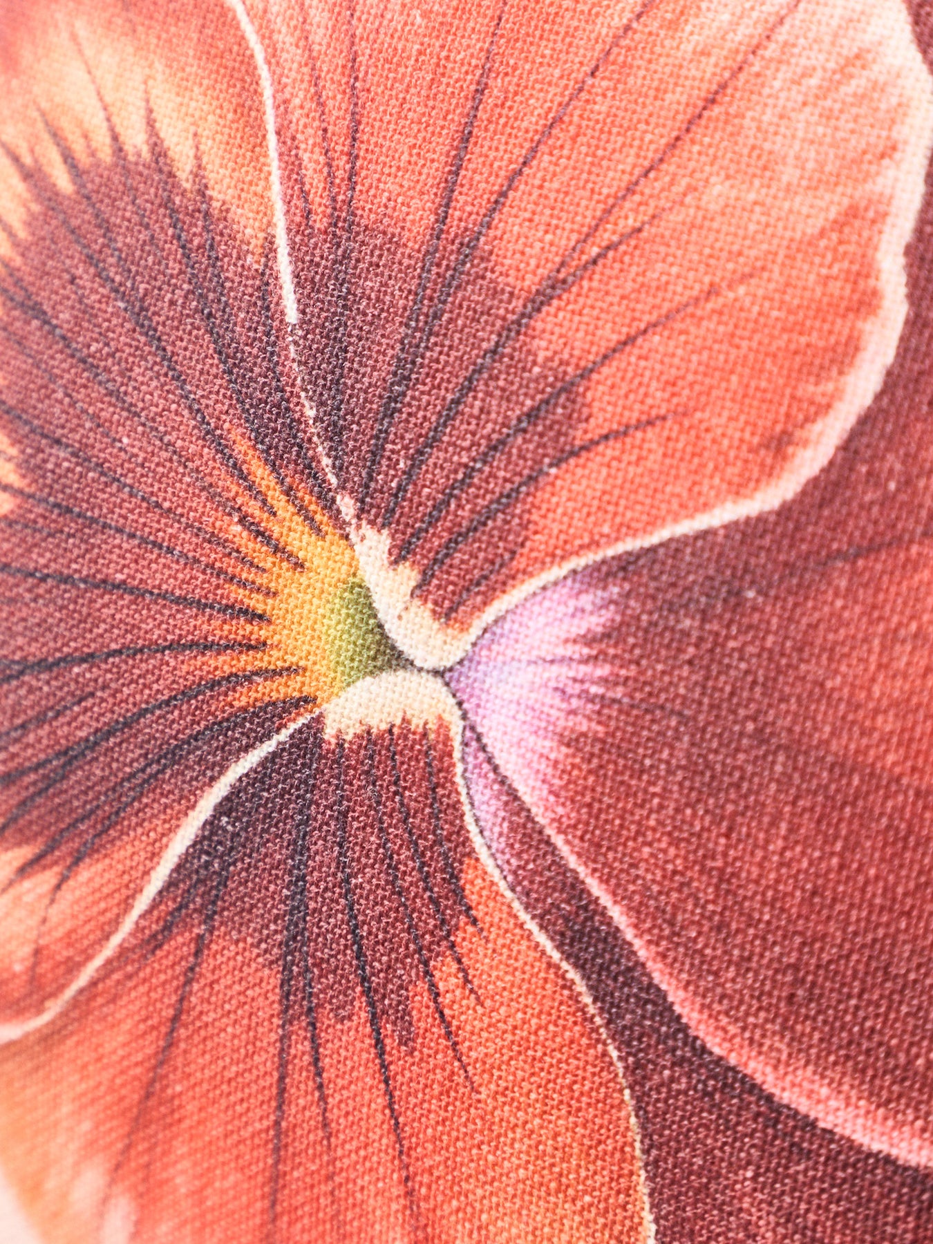 Pansy Muse Feather Cushion 45 x 45cm Pink