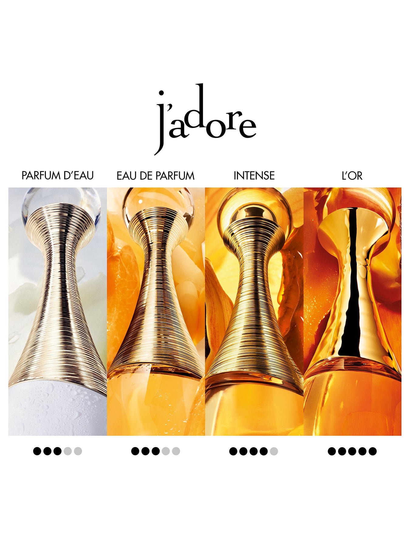 J'adore Intense 100ml – Fenwick