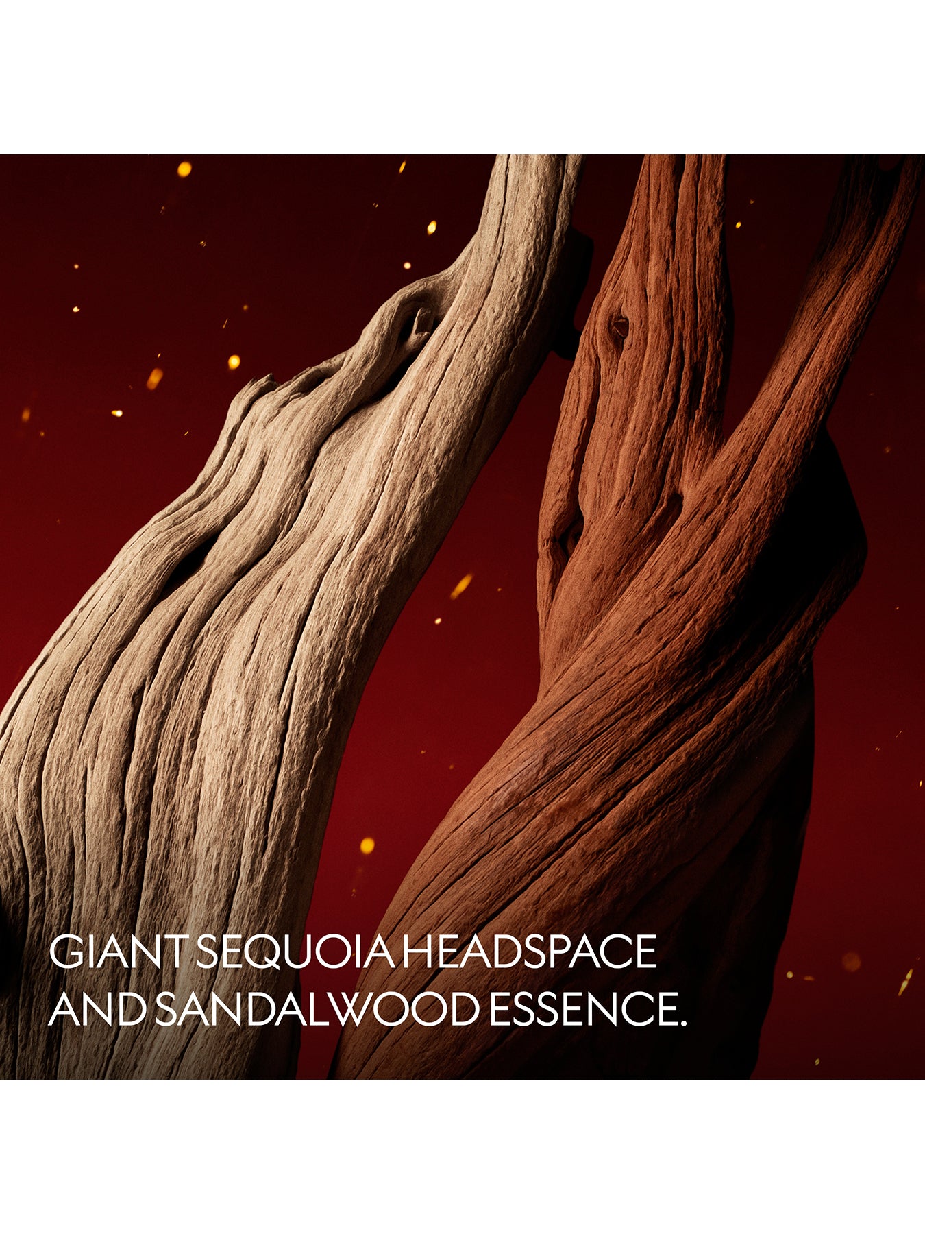 The Alchemist’s Garden Lignum Idealis Eau de Parfum 100ml