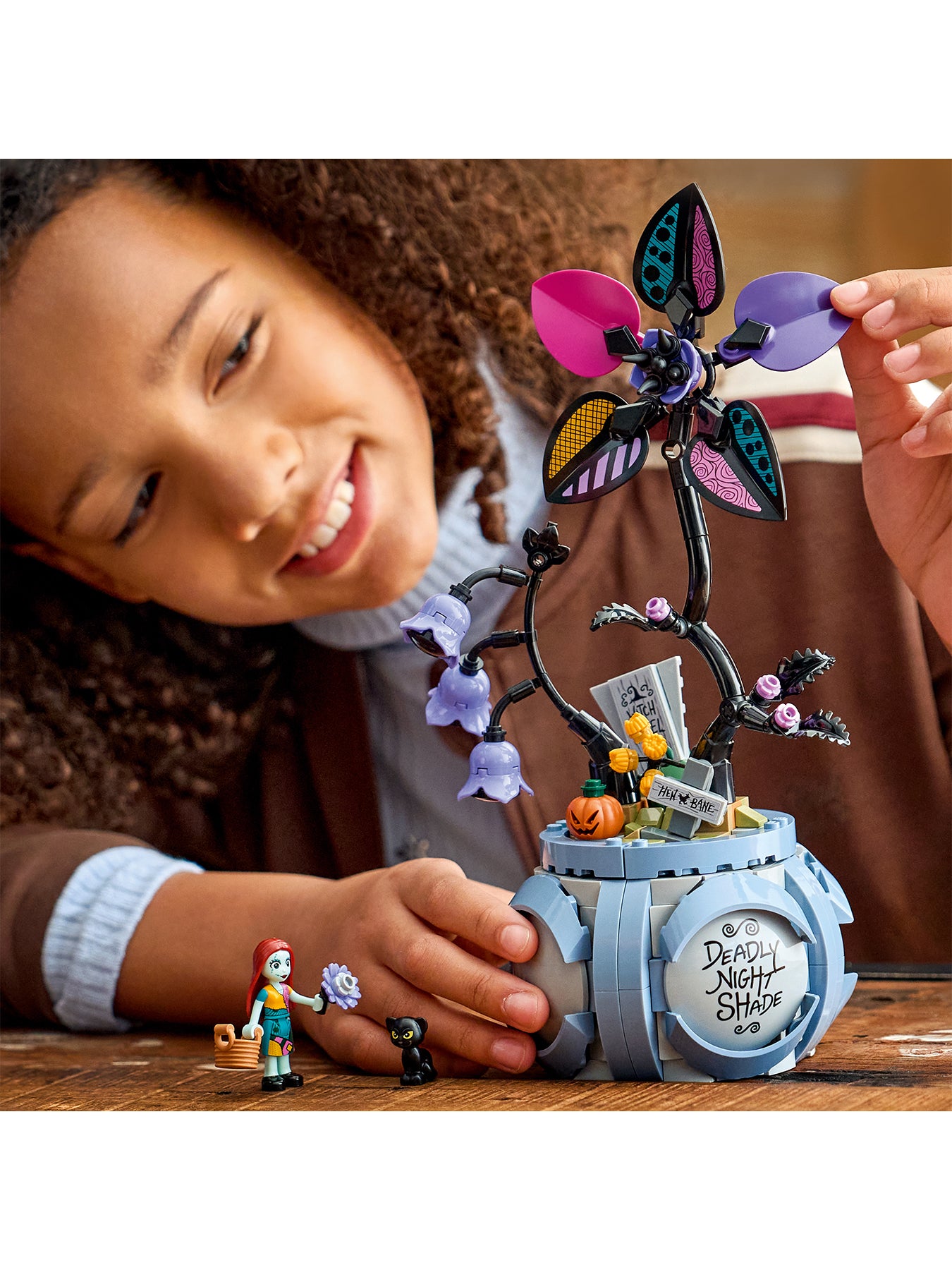 Sally’s Flowerpot Display Build 43288