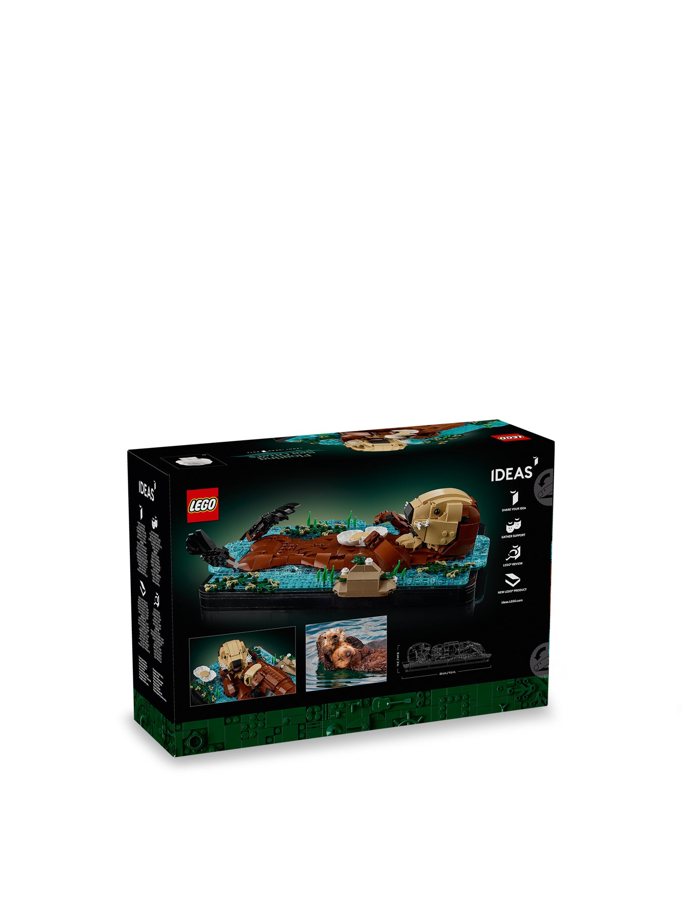 IDEAS Building Set 21366