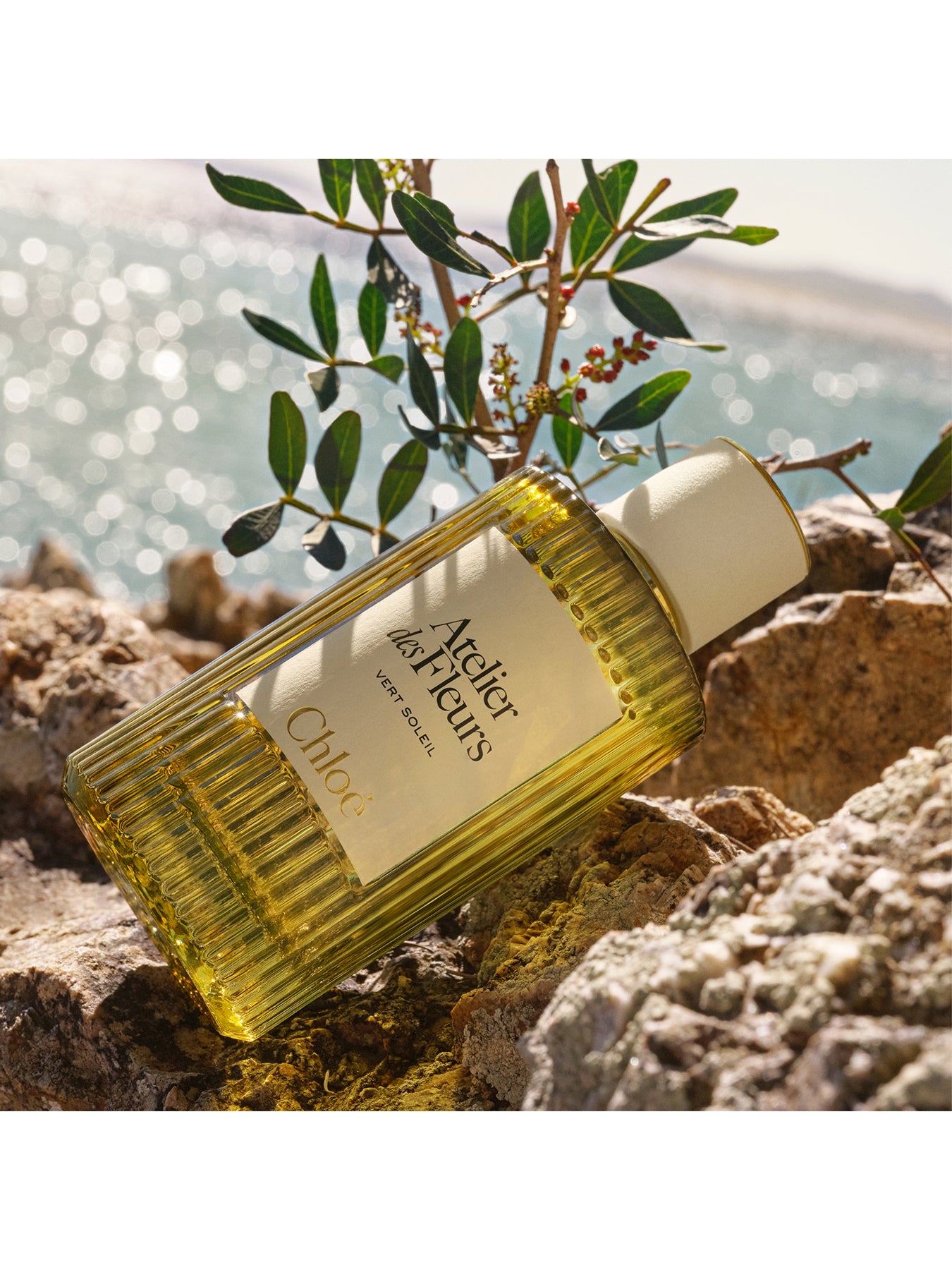 Atelier Des Fleurs Vert Soleil Eau de Parfum 50ml