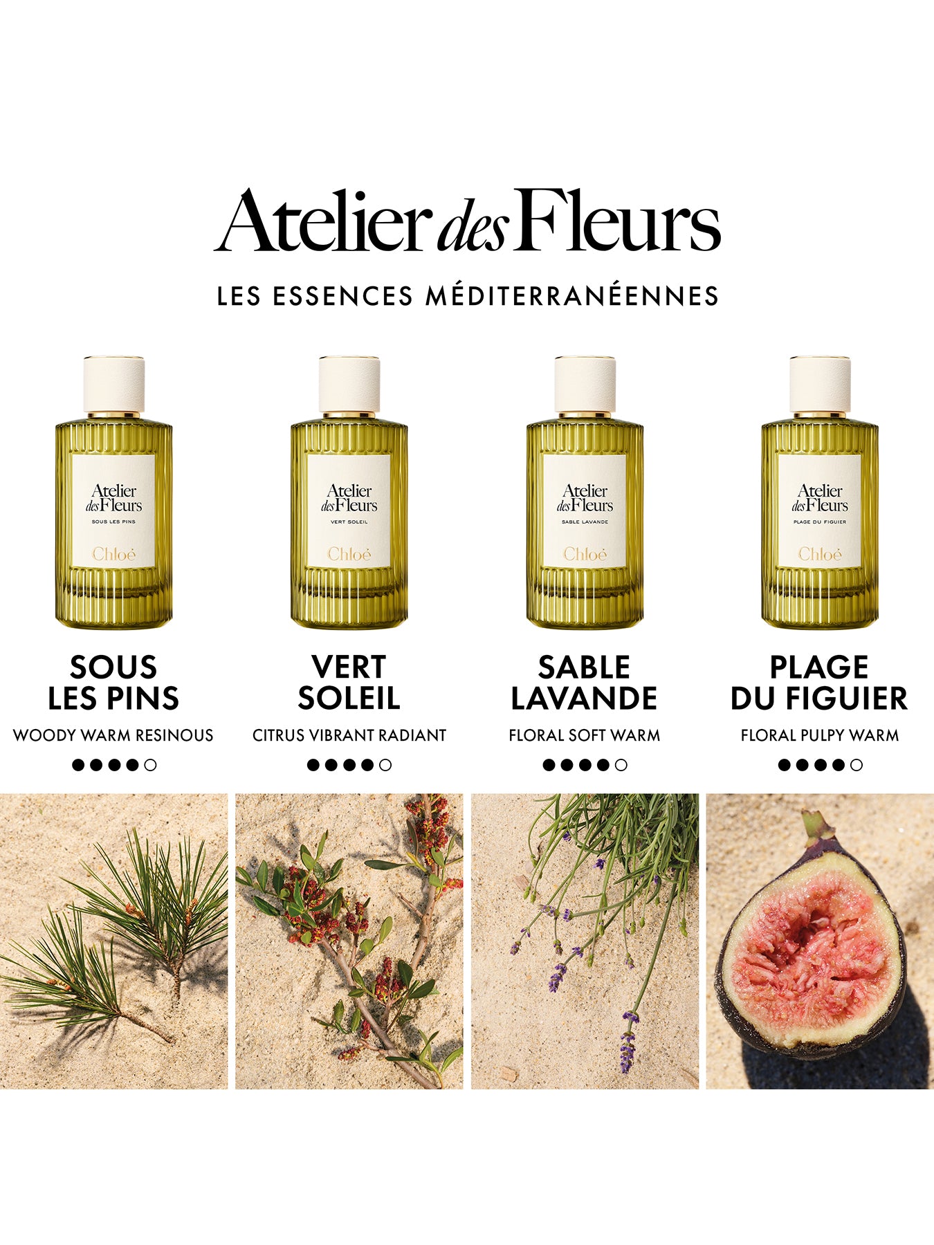 Atelier Des Fleurs Vert Soleil Eau de Parfum 50ml