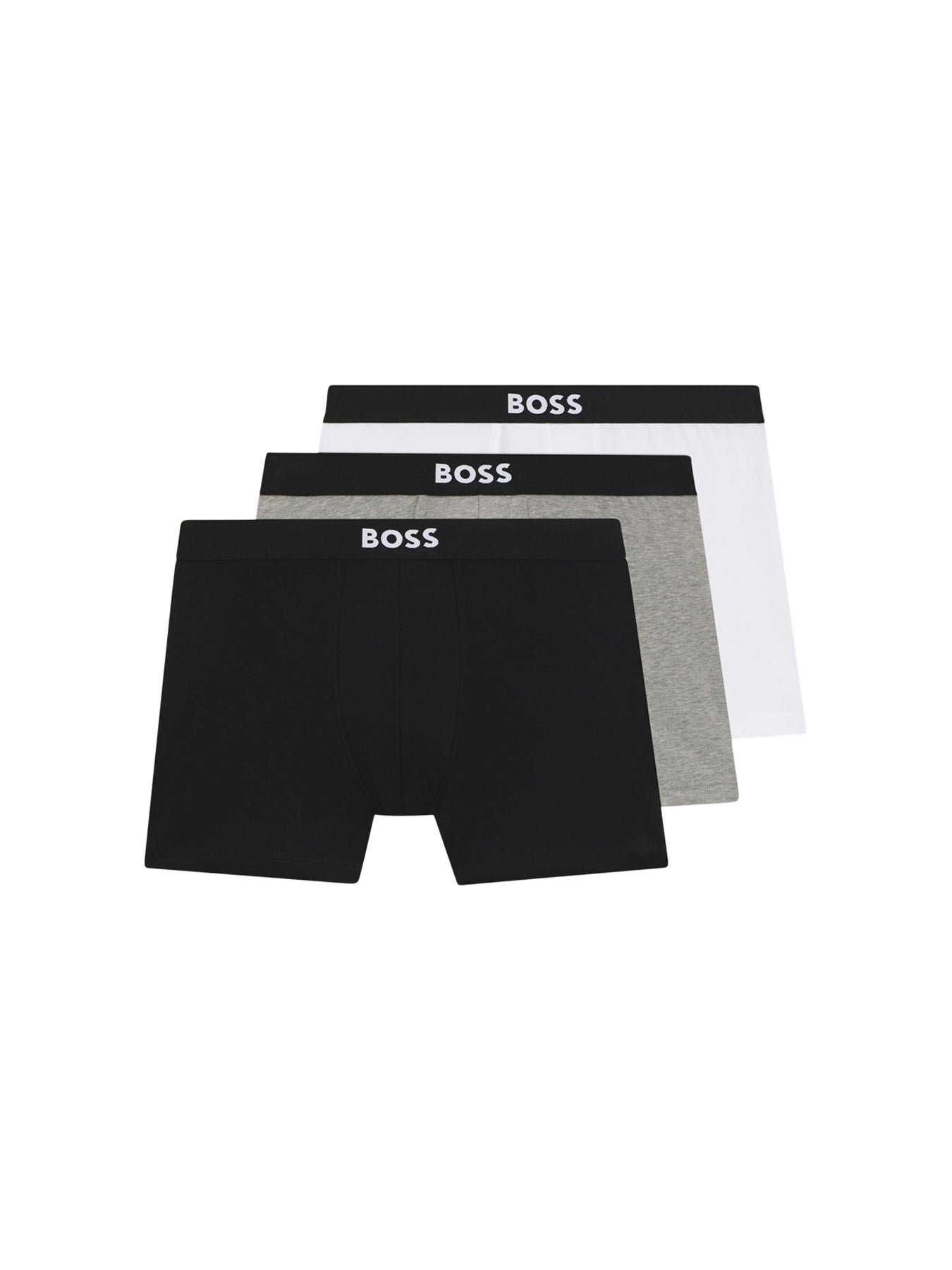 BoxerBr 3P BOSS ONE