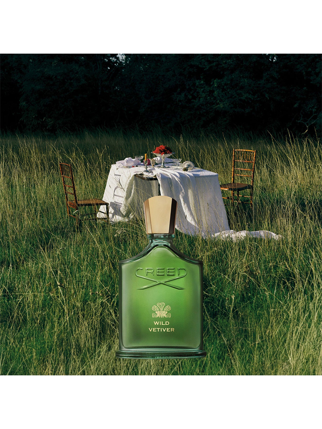 Wild Vetiver Eau de Parfum 100ml – Fenwick