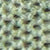Fern Green Heather