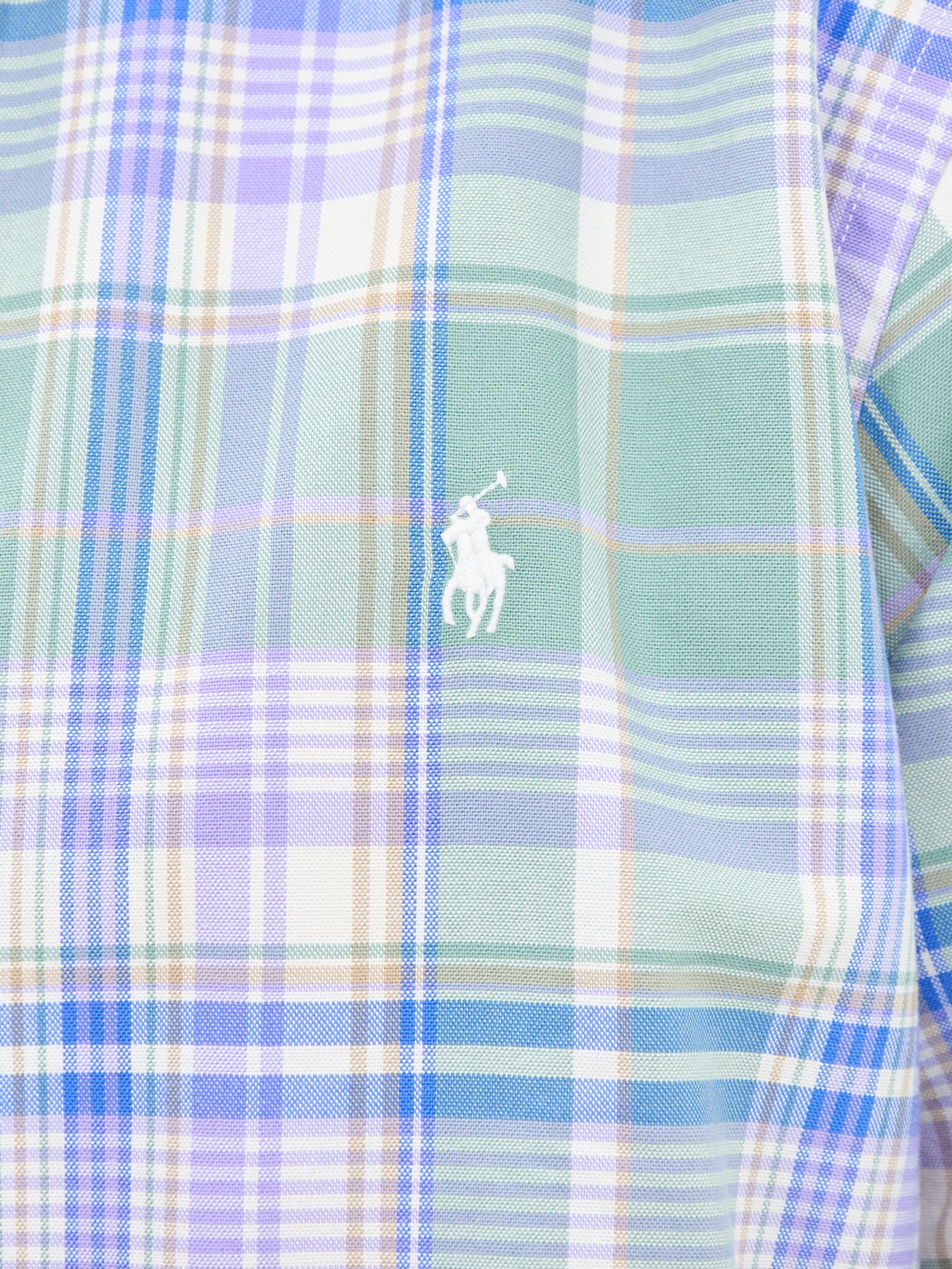 Custom Fit Check Oxford Shirt
