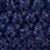 Bright Navy/Deckwash Wht