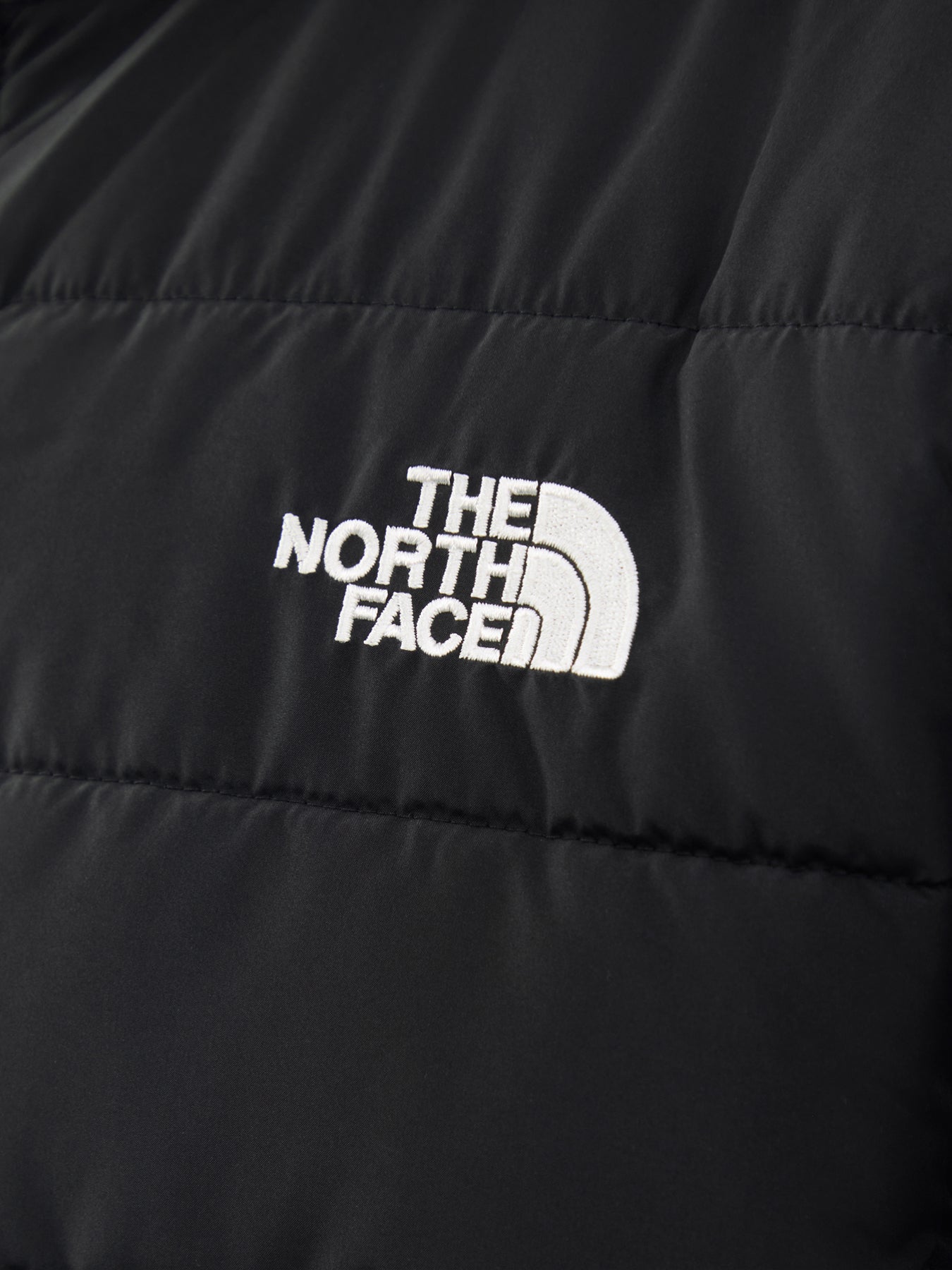 Men's Aconcagua Hooded Jacket