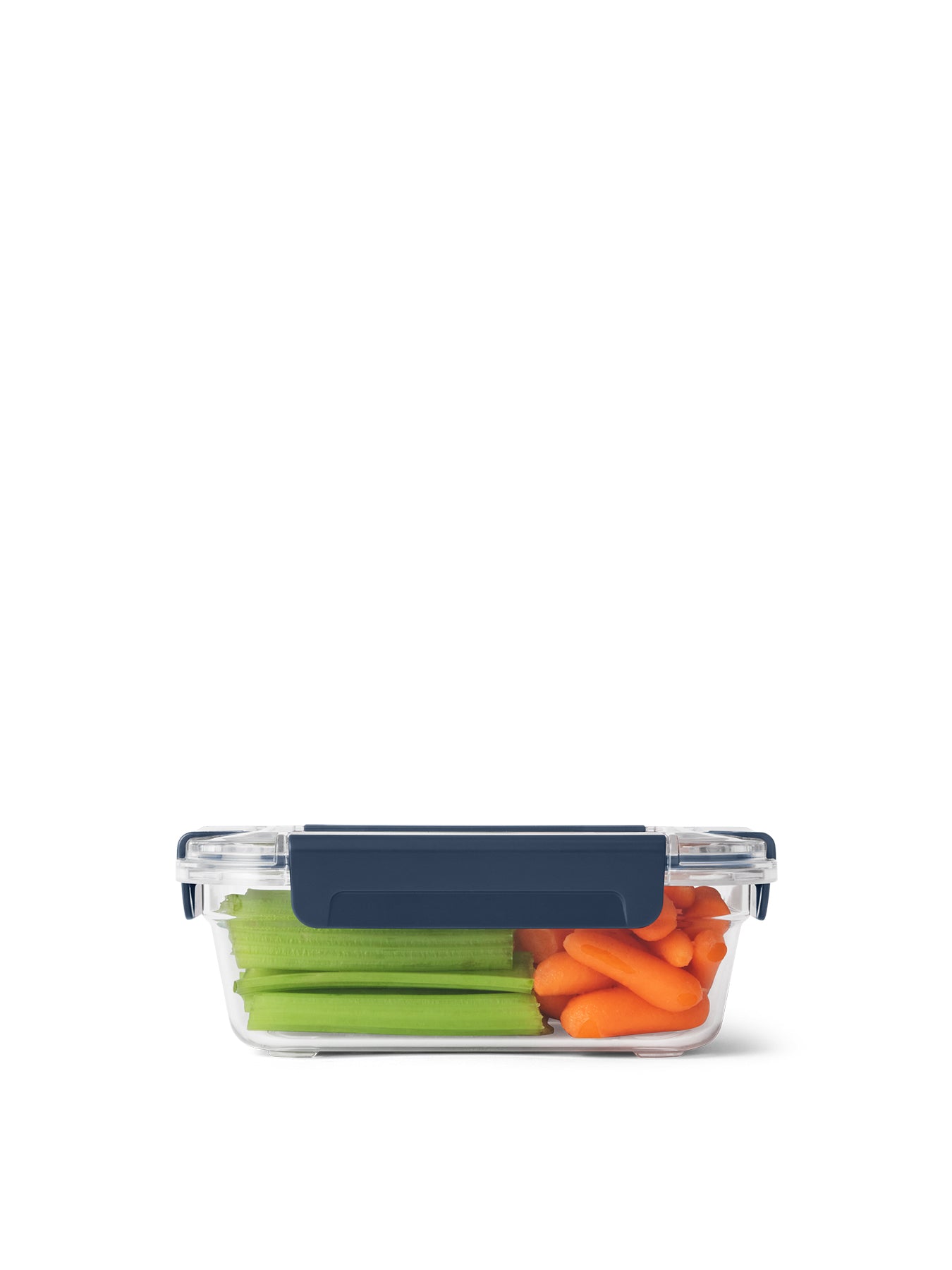 Food Storage Container Medium
