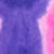 Blue/Pink