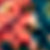 Navy Wildflower/Flower Navy
