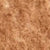 Classic Beige