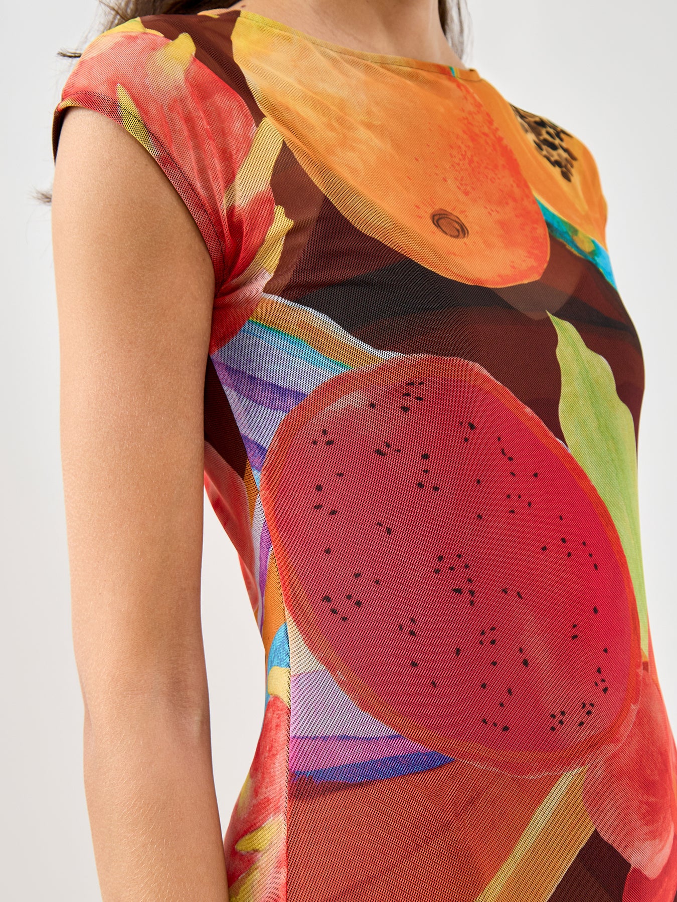Rio Mesh Dress Multi