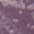 Purple Erosia Print
