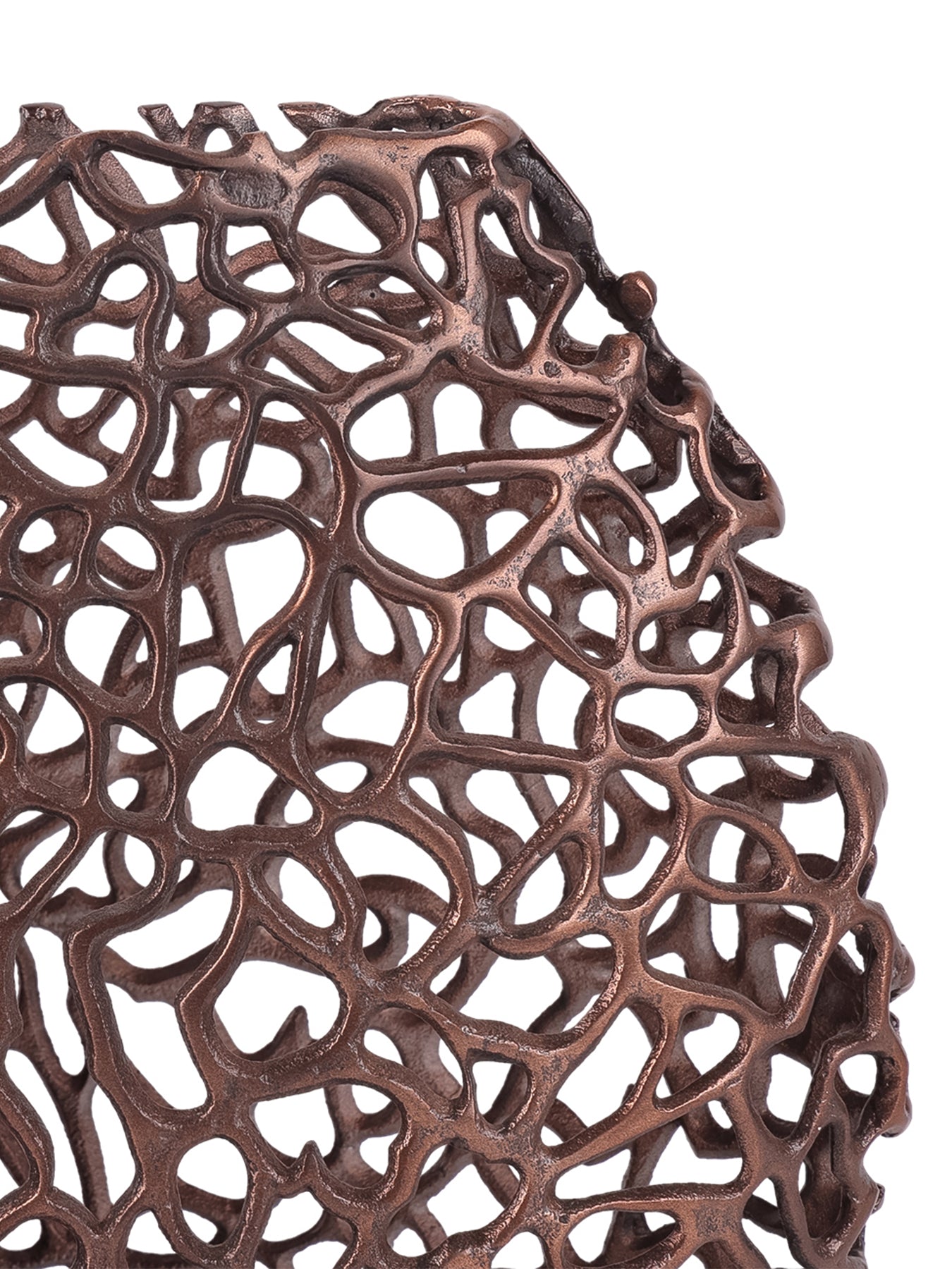 Apo Coral Raw Bronze Ellipse Vase Bronze