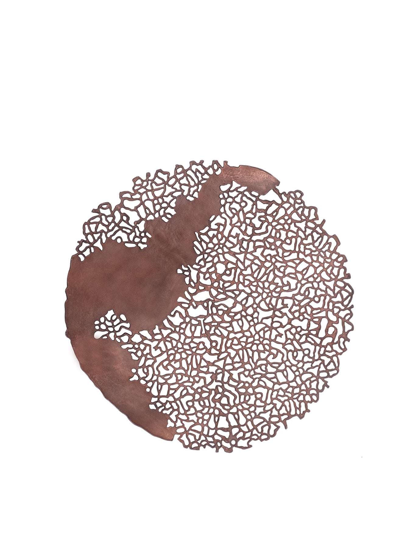 Apo Coral Raw Bronze Wall Plaque Brown