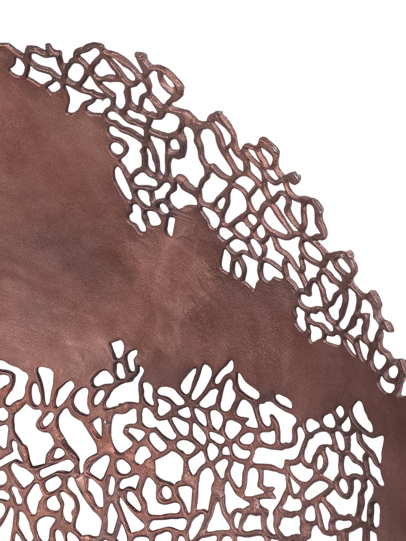 Apo Coral Raw Bronze Wall Plaque Brown