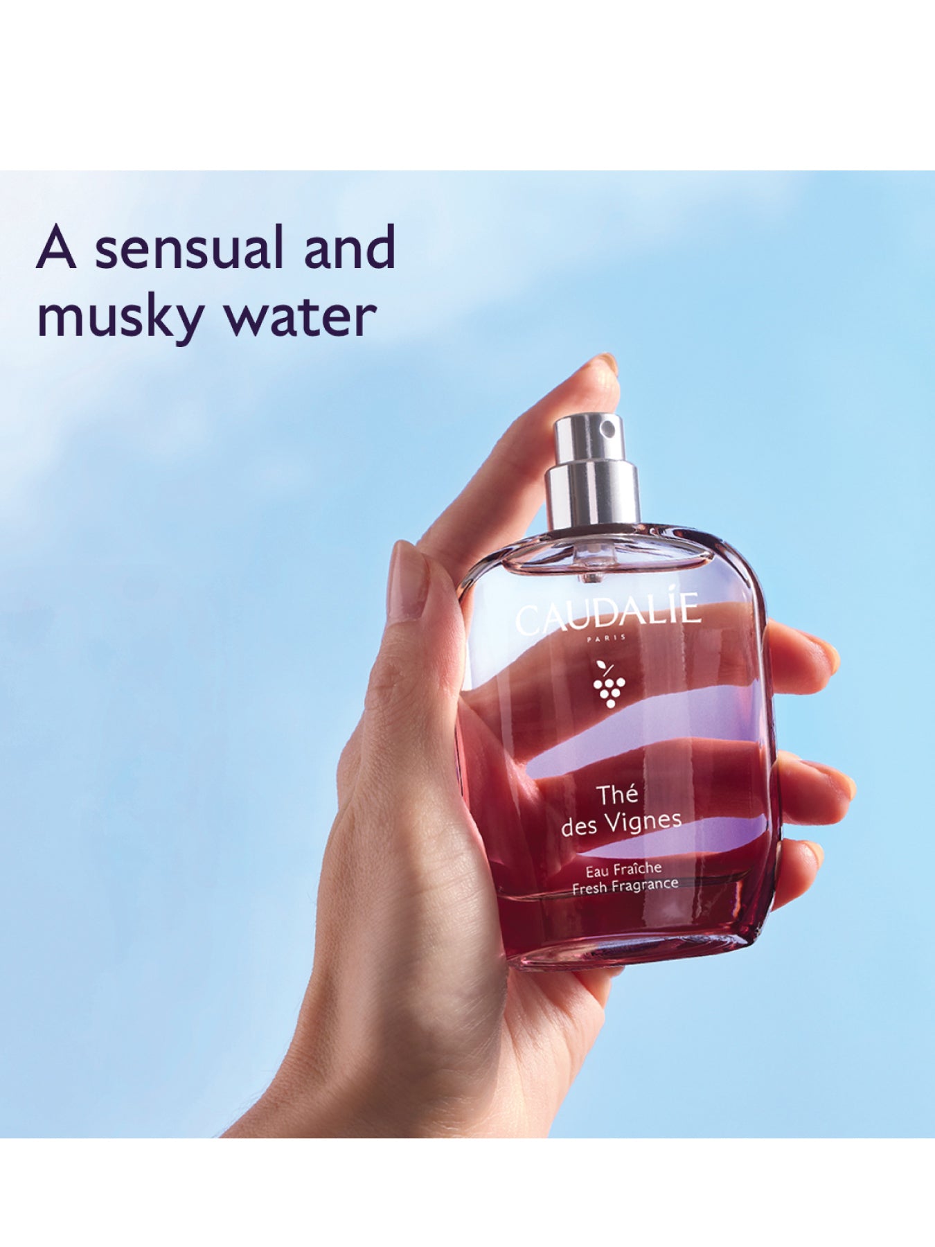 Des Vignes Fresh Fragrance 50ml