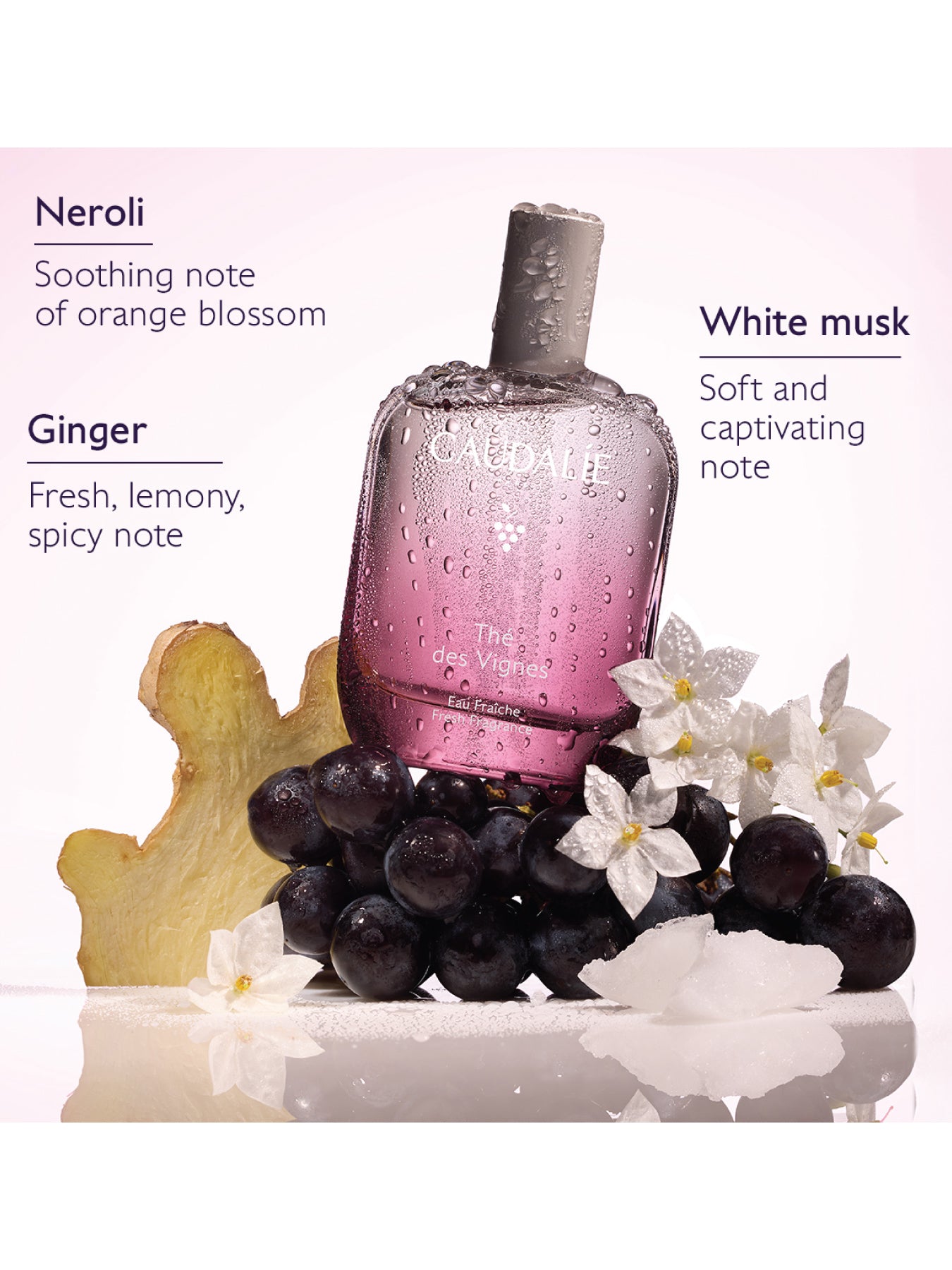 Des Vignes Fresh Fragrance 50ml