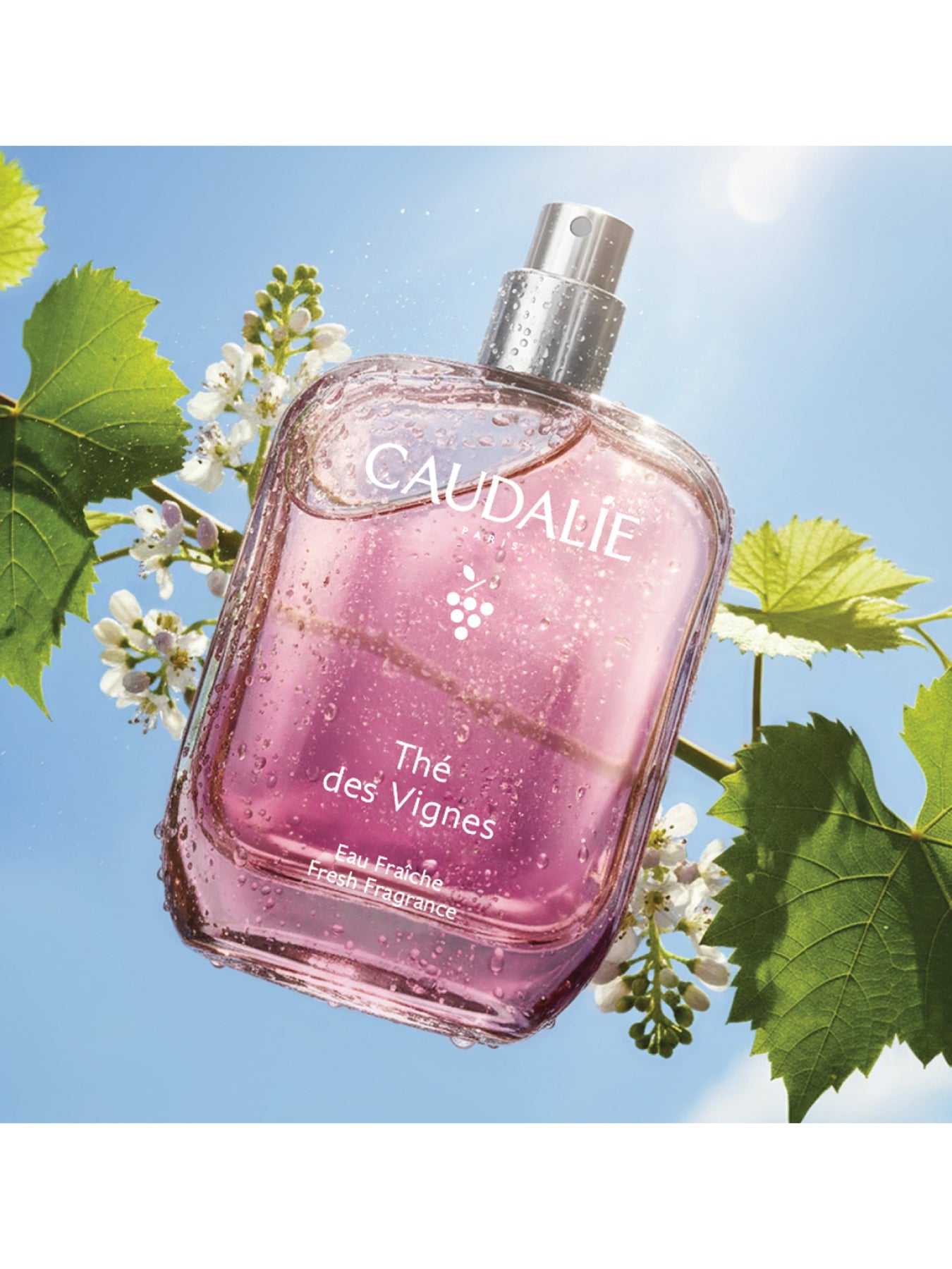 Des Vignes Fresh Fragrance 50ml