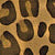 Brown Leopard