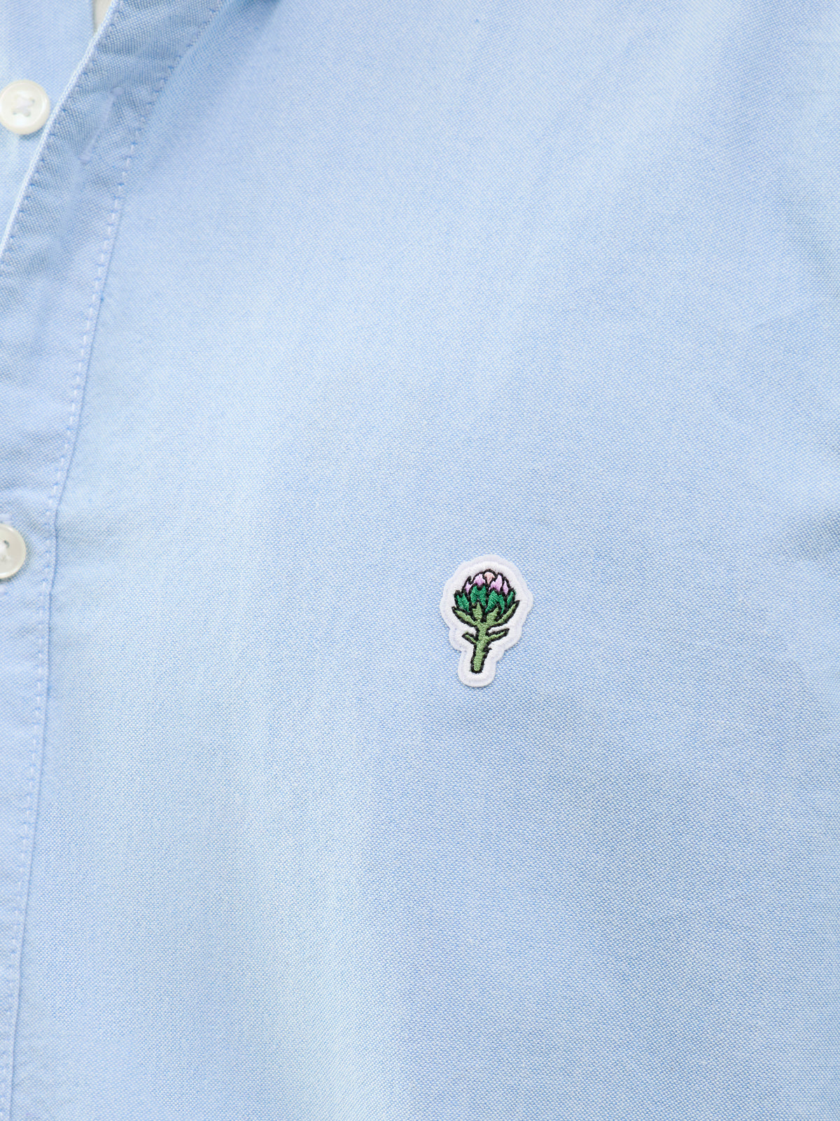 Artichoke Oxford Organic Cotton Shirt