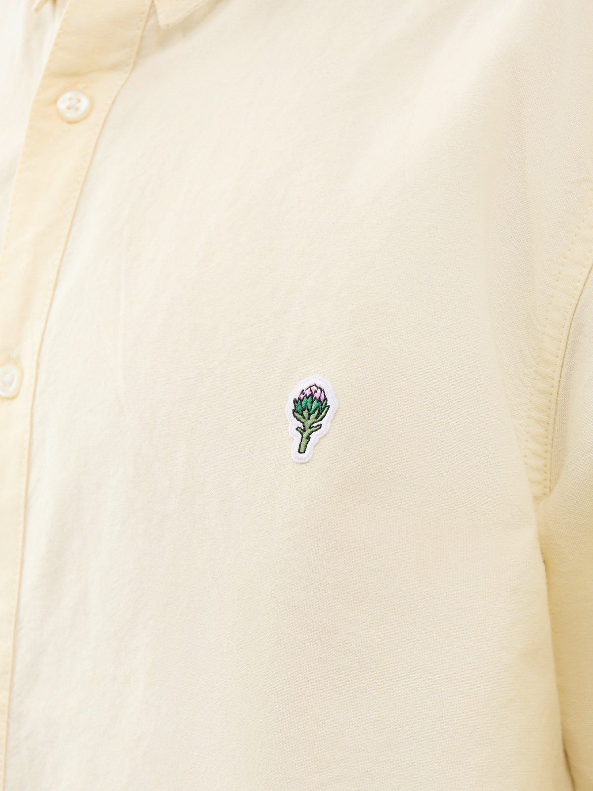 Artichoke Oxford Organic Cotton Shirt