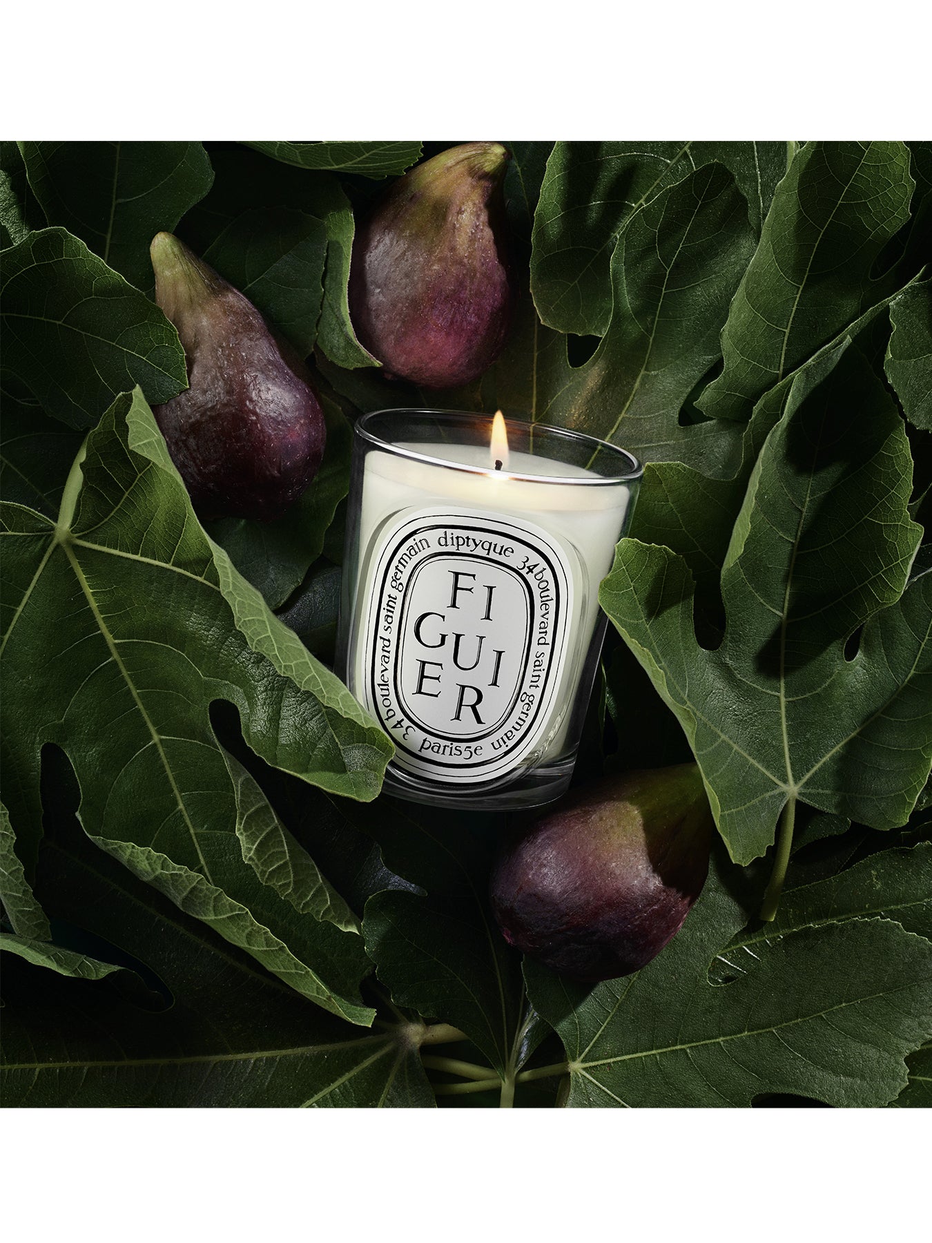 Figuier Classic Candle 190g