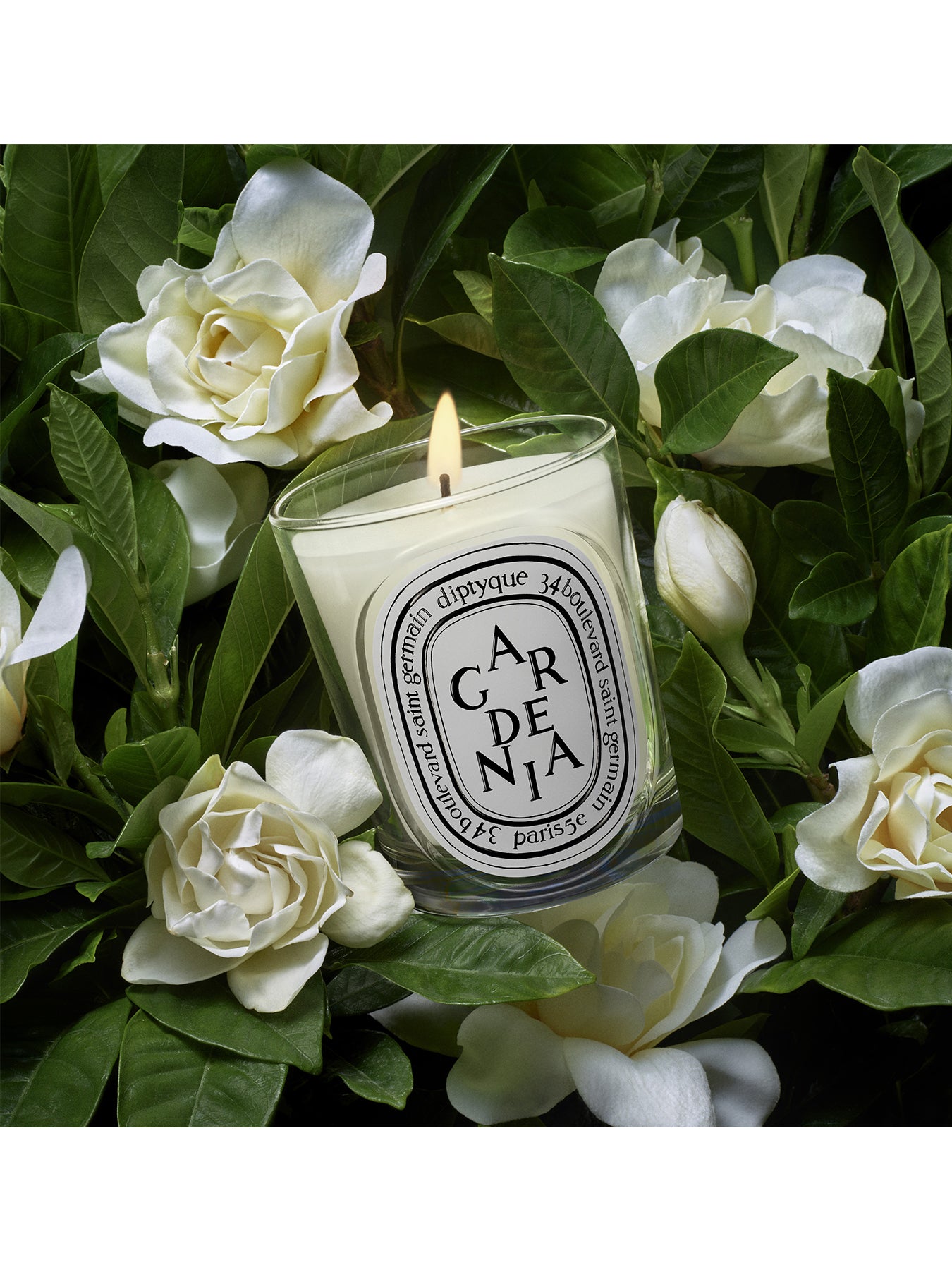 Gardenia Classic Candle 190g