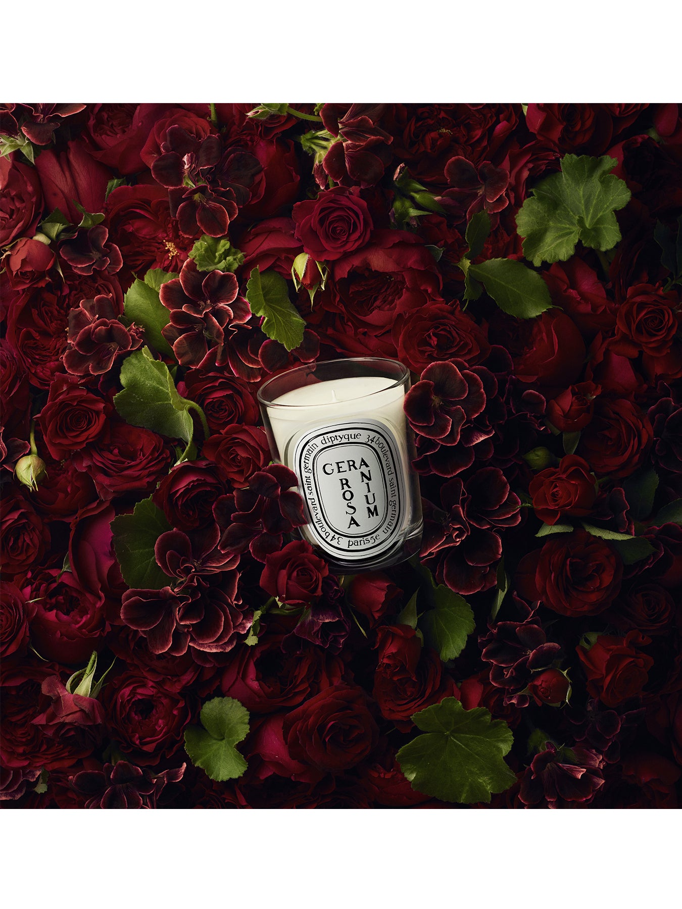 Geranium Rosa Classic Candle 190g