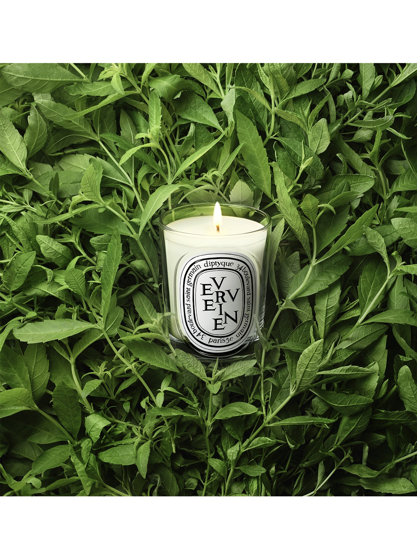 Verveine Classic Candle 190g