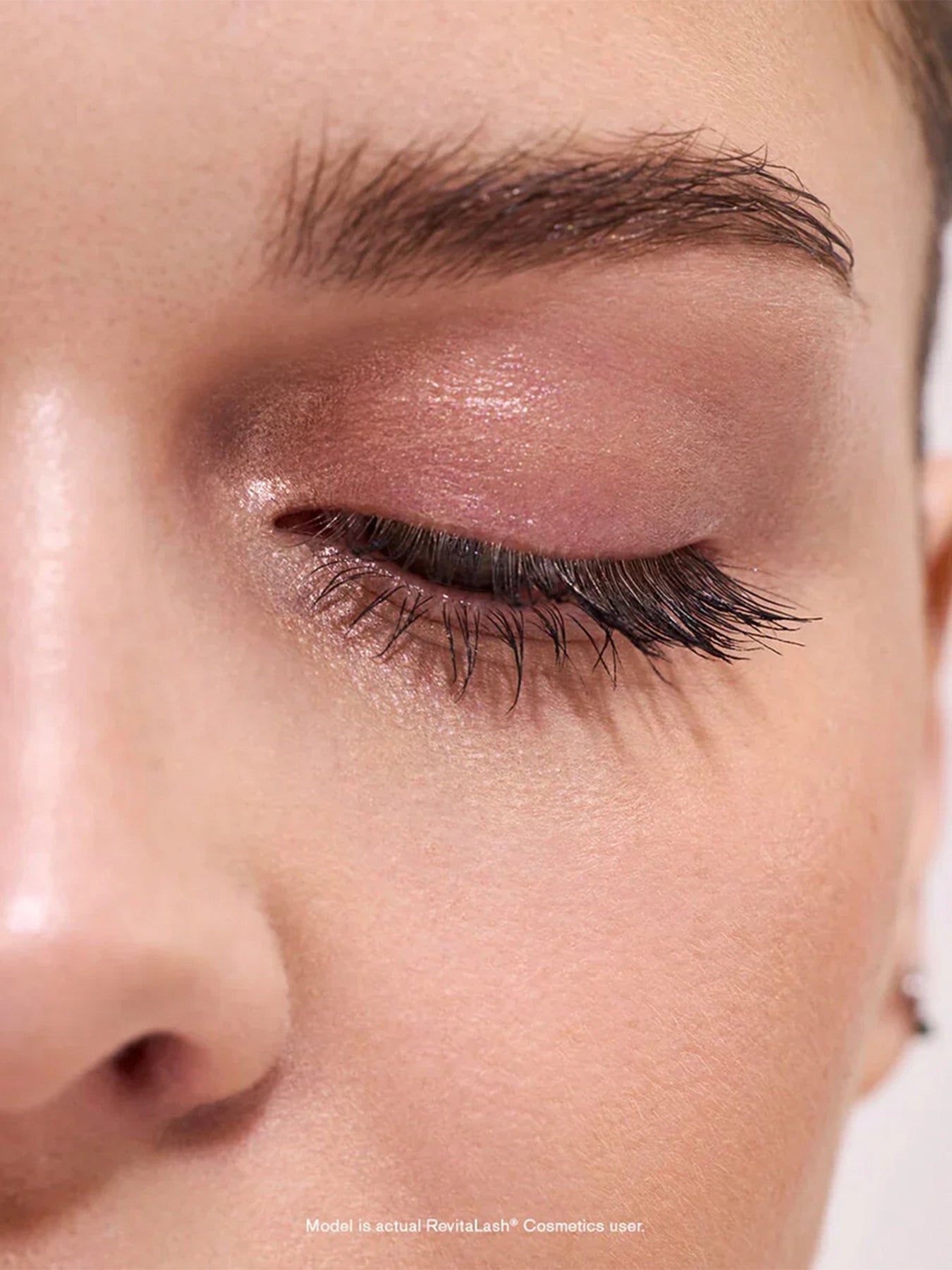 Spotlight on Brows Collection