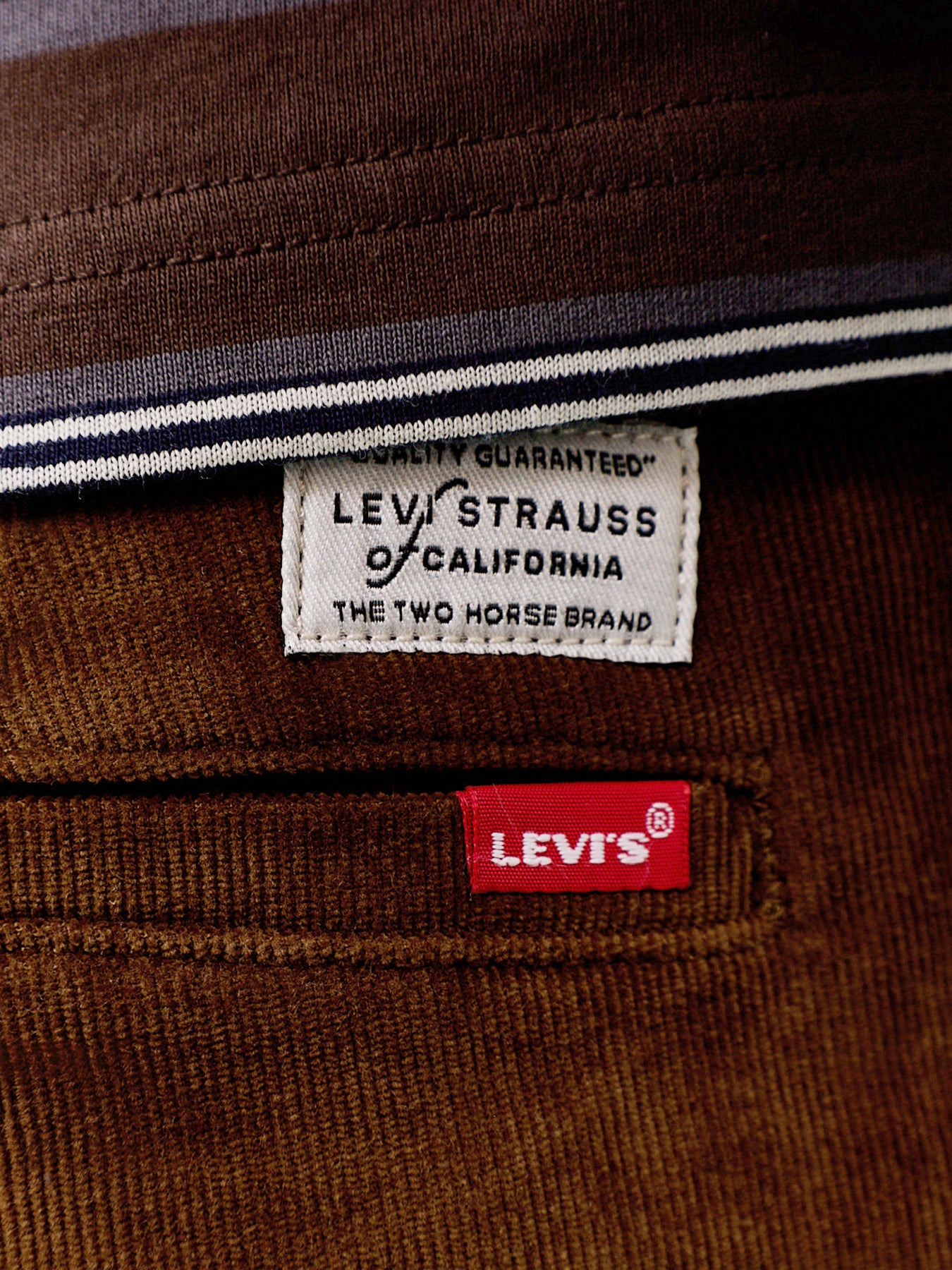 Cotton Cord Chinos - Karla Brown