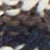 Sky Captain Turkish Coffee / Oatmeal