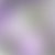 Platinum / Lavender Cz / Purple Pearl
