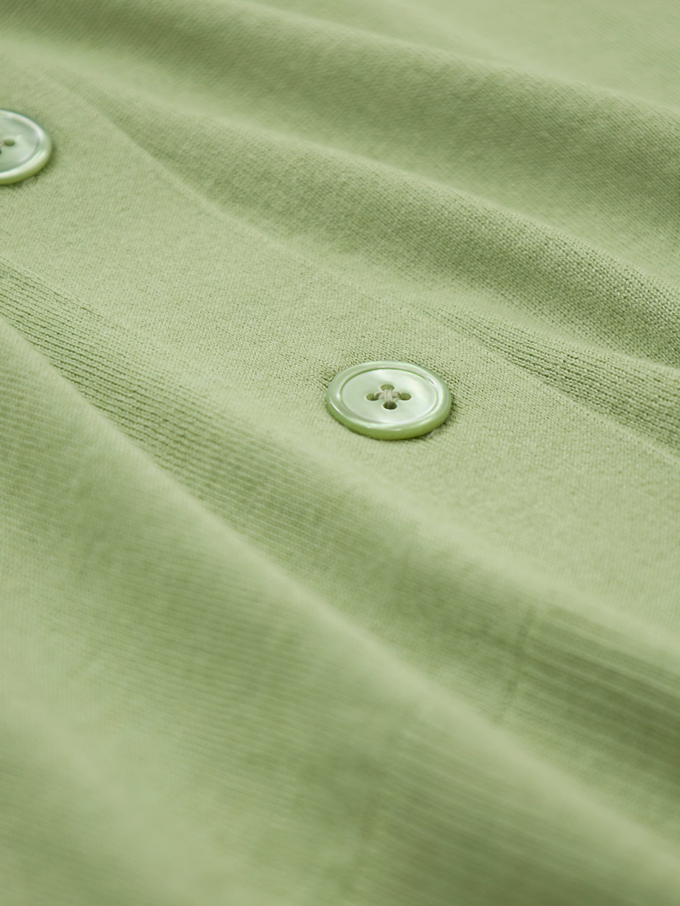 Torre Cardigan