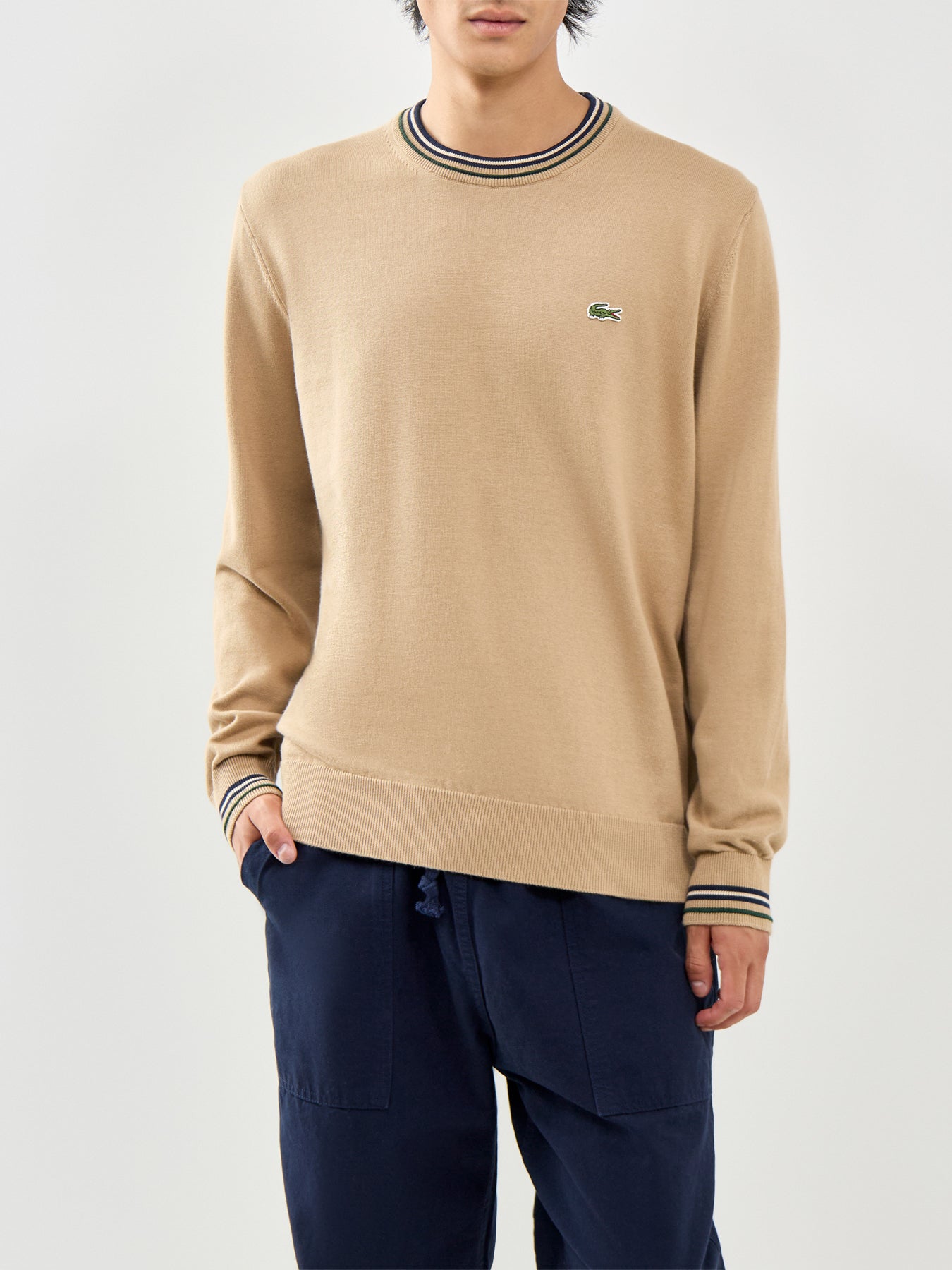 Tipped Crew Neck Knit Sweatshirt Beige