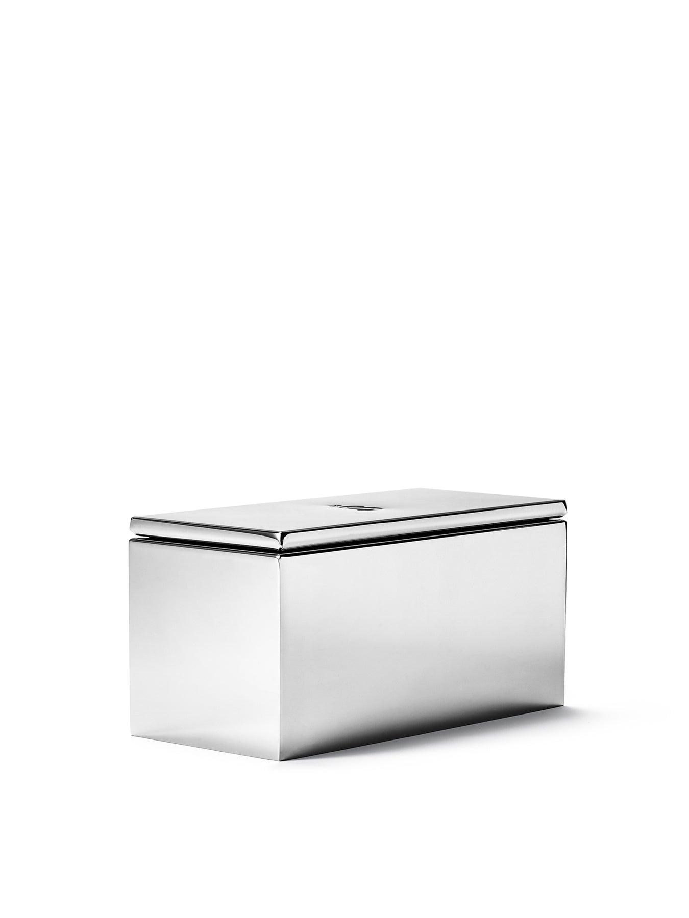 Capsule Case Silver